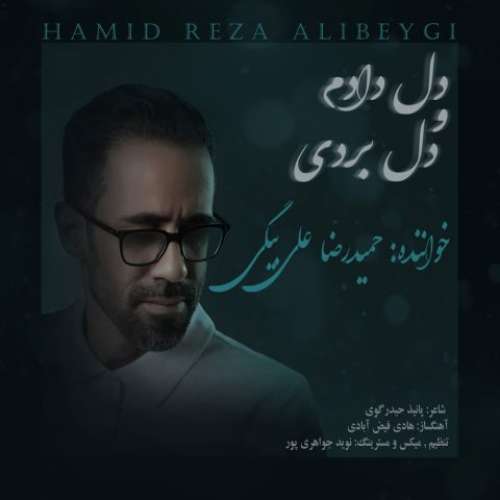 حمیدرضا علی بیگی دل دادم و دل بردی